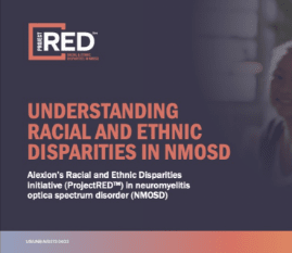 Understanding Radical and Ethnic image